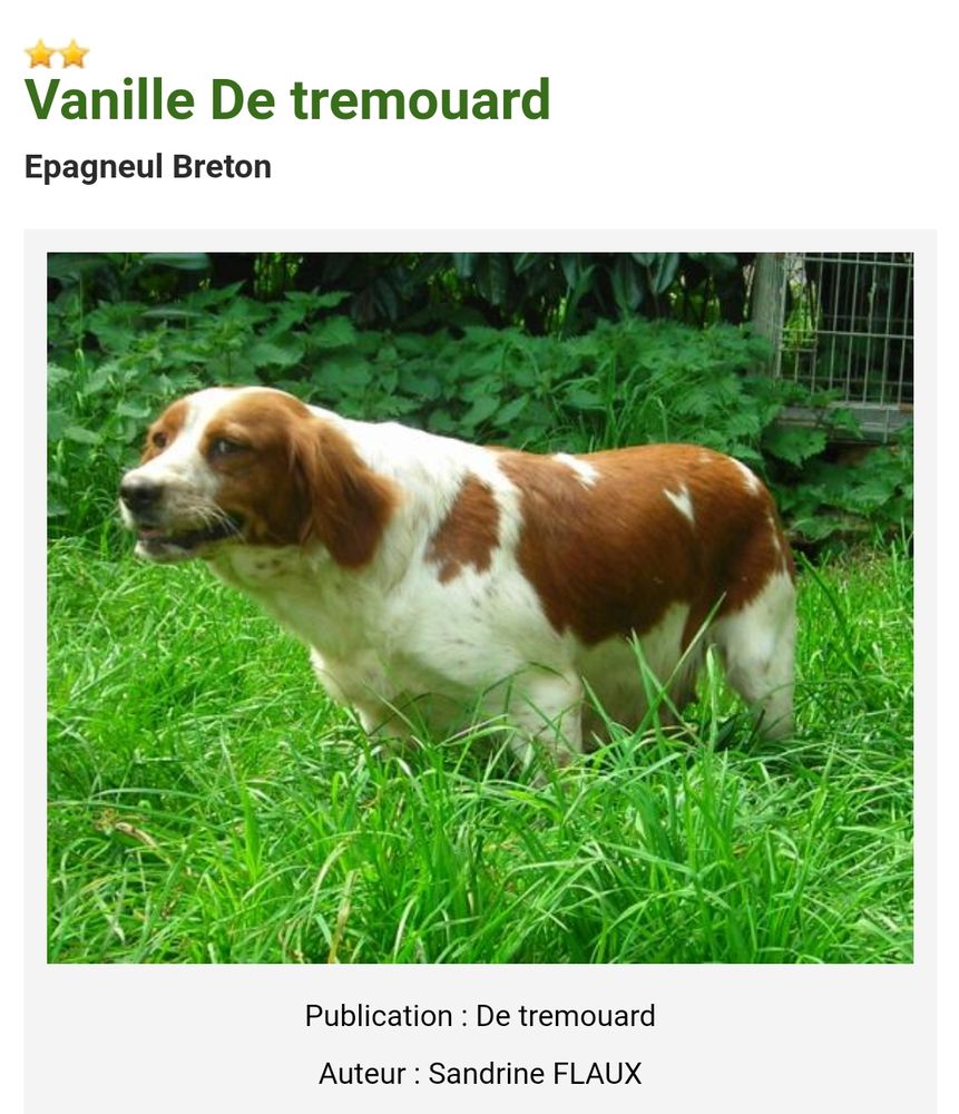 VANILLE de Tremouard | Brittany 