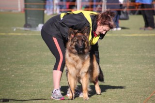 delkit lyka miss | German Shepherd Dog 