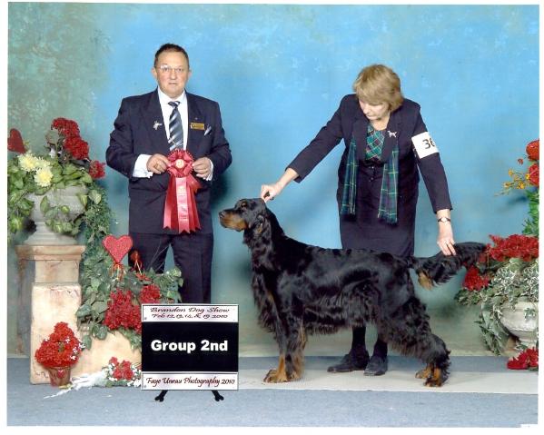 Sassenach Caisteal A Tor | Gordon Setter 