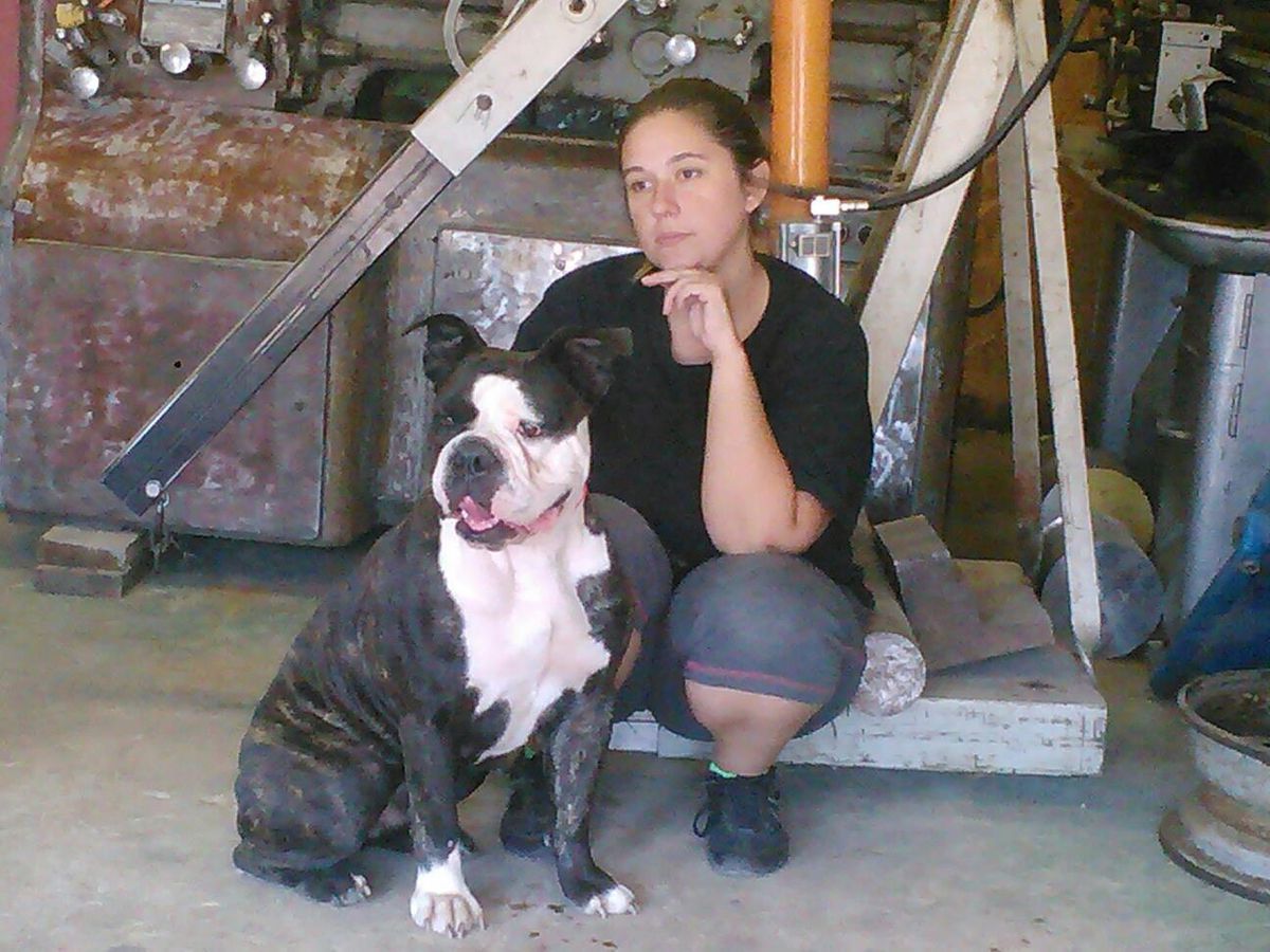 MHRB’s Racin’ ‘Round Daytona | Olde English Bulldogge 