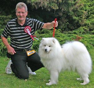 Zamoyski Lucky Olivia | Samoyed 