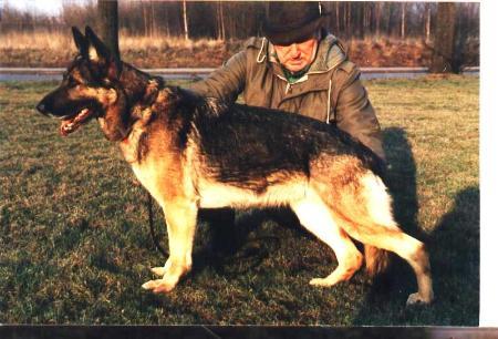 Endie von Karthago | German Shepherd Dog 