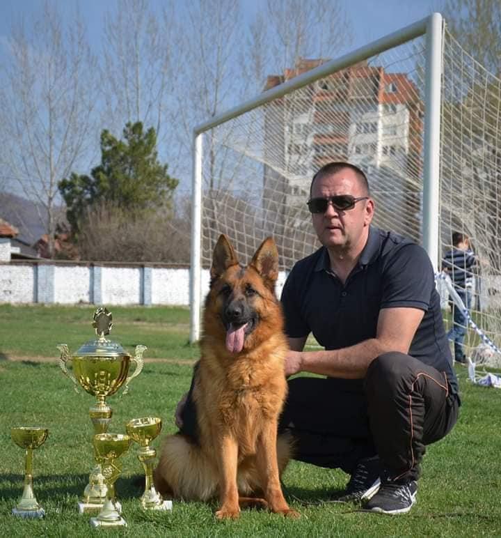 Horda vom Platanshof | German Shepherd Dog 