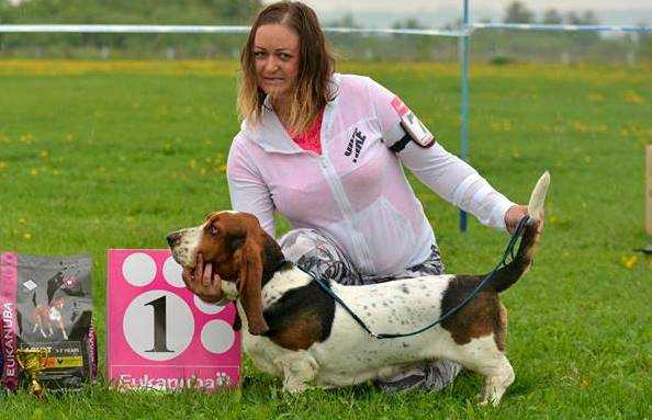 SVET TANGRI ADELLE | Basset Hound 