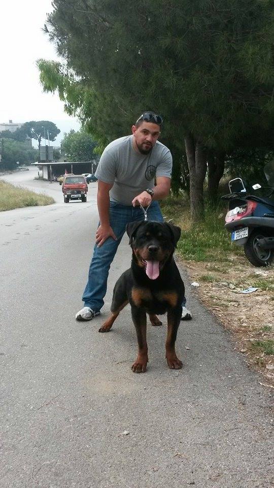 camp unserbund | Rottweiler 