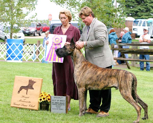 My-Jon's Valentino V Riverlor | Great Dane 