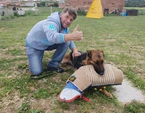 Greys de Tierra Austral | German Shepherd Dog 