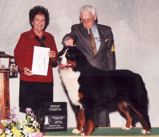 Jaberwock's Double Dynamite | Bernese Mountain Dog 