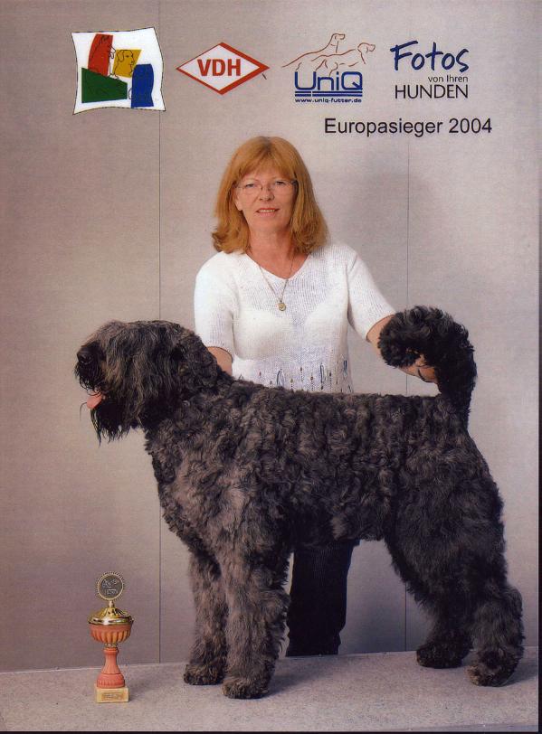 Lennox Damon v. Bouvier Topline | Bouvier des Flandres 