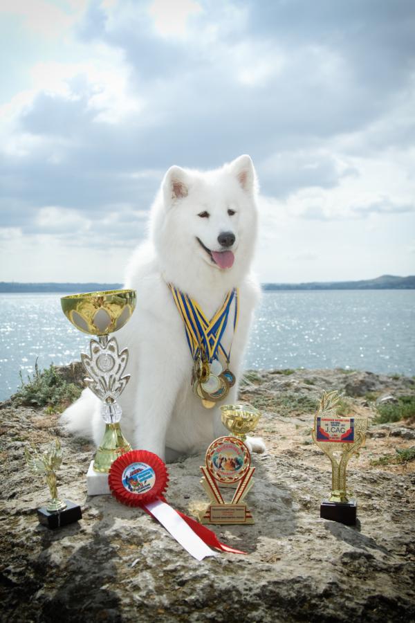 Aleksandriya from Kel’bin treasure-house | Samoyed 