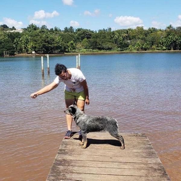 HEELER VALLEY'S JOHN HOLLIDAY | Australian Cattle Dog 