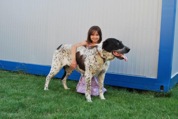 Radzhana | Central Asian Shepherd Dog 