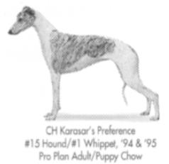 Karasar's Preference | Whippet 