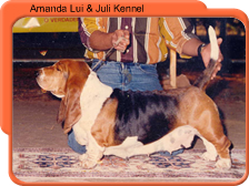 Amanda Lui &amp; Juli Kennel | Basset Hound 