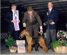 Terrydale HK Moraine Exchange | Airedale Terrier 