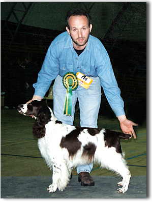 Melverly Lois Lane | English Springer Spaniel 