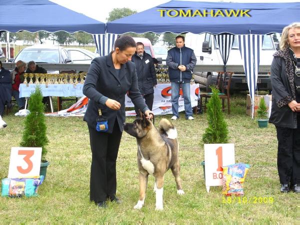 Amazon Of Soldier Park | Akita 