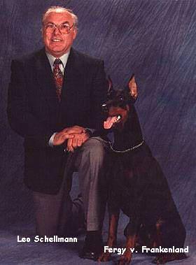 Fergy v. Frankenland | Black Doberman Pinscher