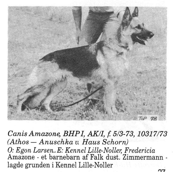 Canis Amazone | German Shepherd Dog 