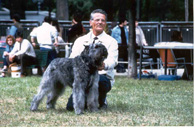 Epersempre del Tabarro | Bouvier des Flandres 