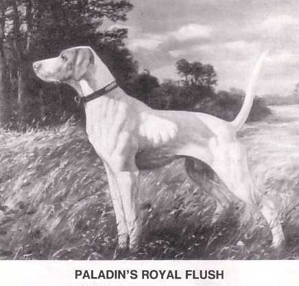 PALADIN'S ROYAL FLUSH | Pointer 