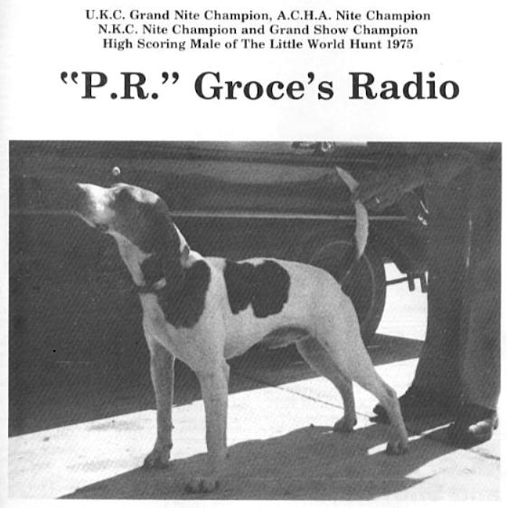 Groce's Radio | Treeing Walker Coonhound 