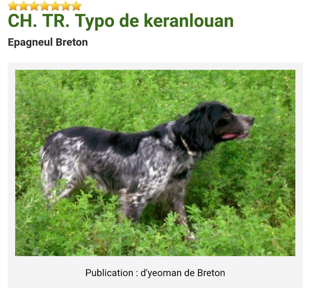 TYPO de Keranlouan | Brittany 