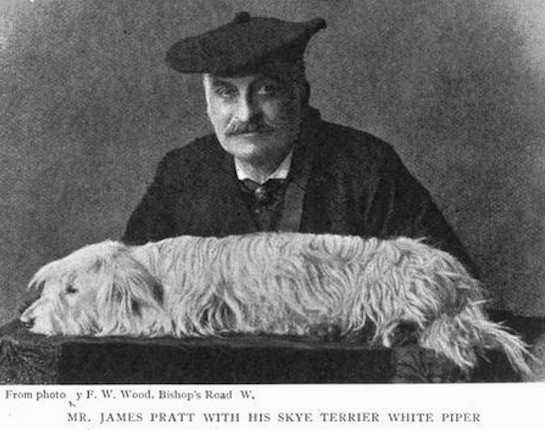 White Piper (Mr. James Pratt's) | Skye Terrier 