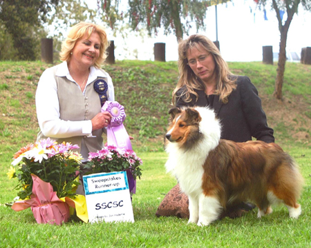 Leigh-Hi's On the Rocks | Shetland Sheepdog 