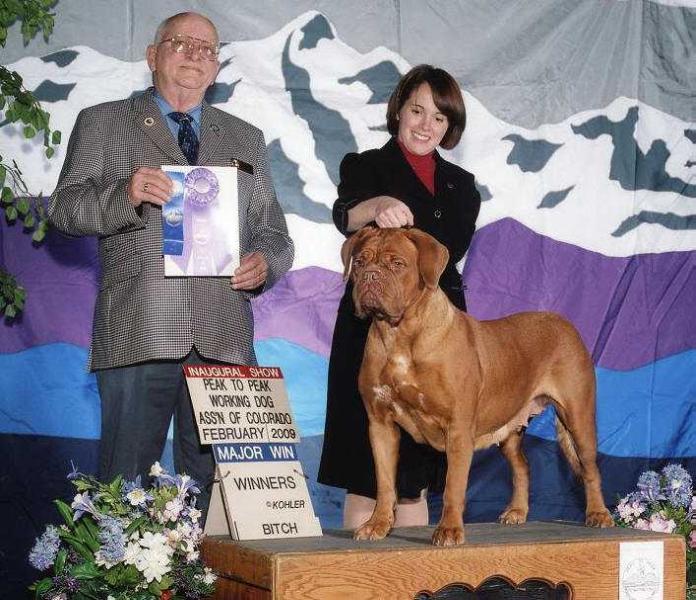 Tanakajd Szepe Zizi | Dogue de Bordeaux 