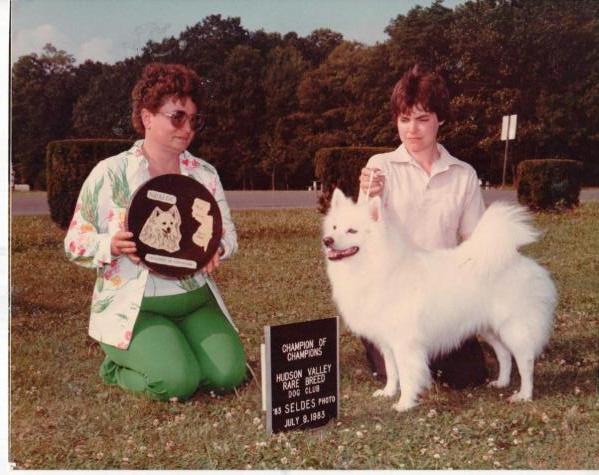 KING ARTHUR PENDRAGON | American Eskimo Dog 