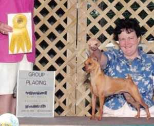 Copperspur's Sugar Cookie | Miniature Pinscher 