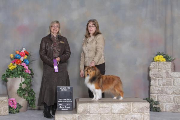 Canyonview Emi | Shetland Sheepdog 