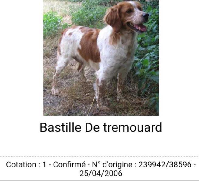 BASTILLE de Tremouard | Brittany 