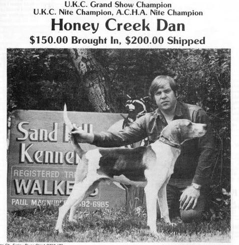 Honey Creek Dan | Treeing Walker Coonhound 