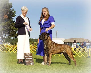 Twyceluvd As Good As It Gets T | Bullmastiff 