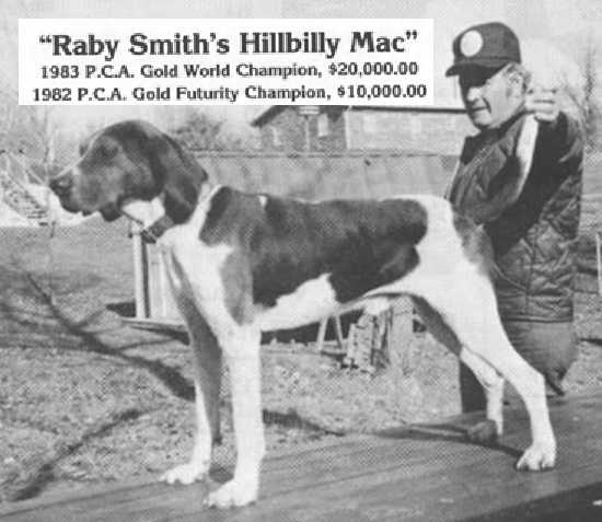 Raby Smith's Hillbilly Mac | Treeing Walker Coonhound 