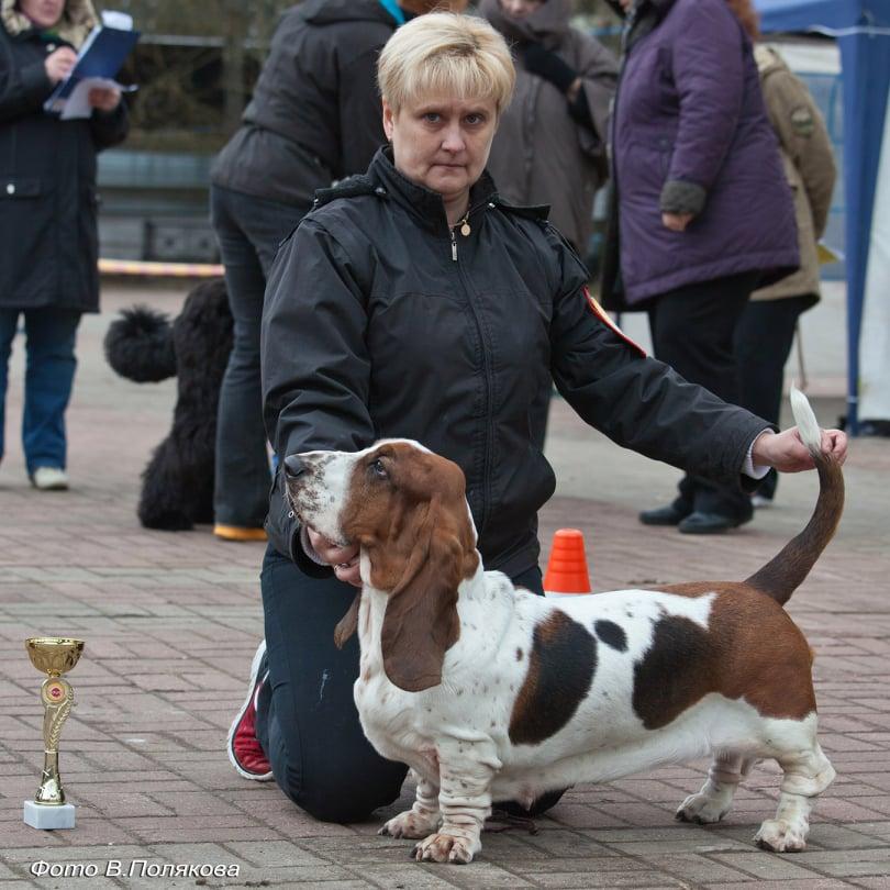 Makadani Astrid Carolina Errera | Basset Hound 