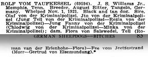 Rolf vom Taufkessel | German Shepherd Dog 