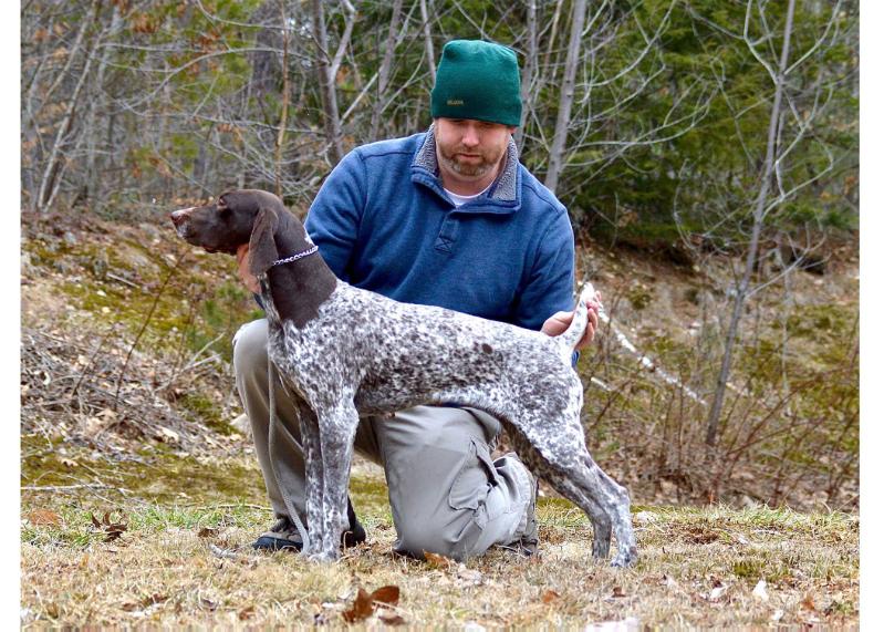 Up N' Adam's Snowball | German Shorthaired Pointer 