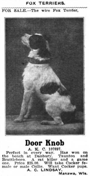 Door Knob (107697) | Wire Fox Terrier 