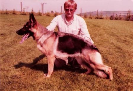 Pepsi Allemania | German Shepherd Dog 