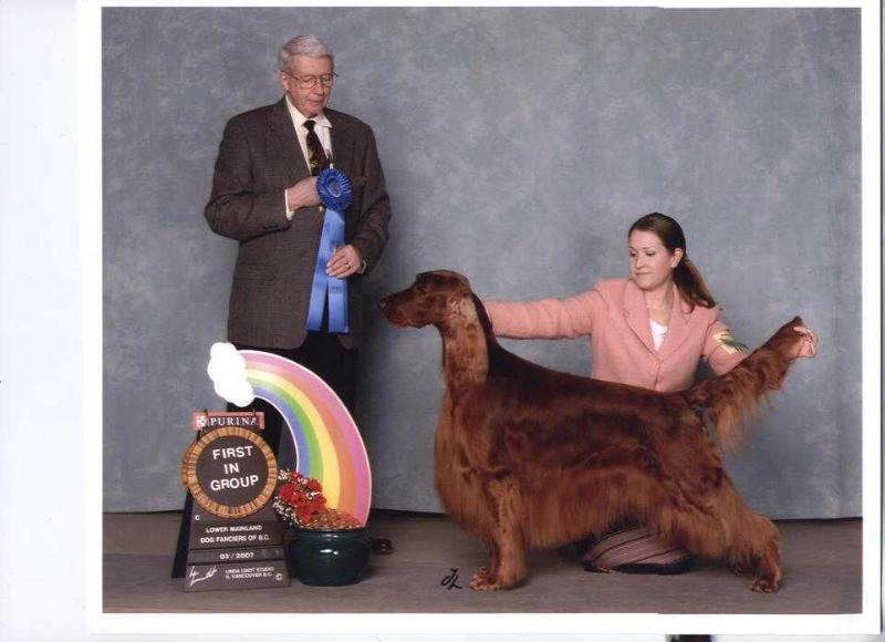 MiJean's Off To See The Wizard | Irish Setter 