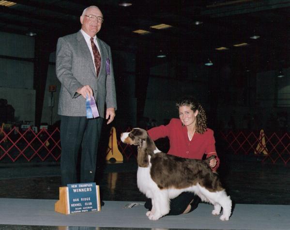 Venetian Serenity's Bubba Can Dance | English Springer Spaniel 