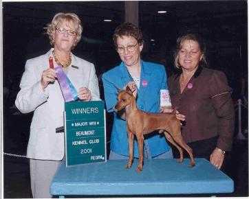 T'Seas Mi March - On To Fenton | Miniature Pinscher 