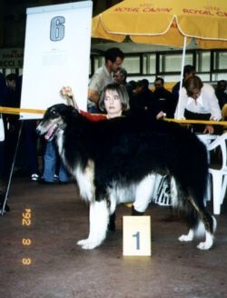 Giljay Rusich | Borzoi 