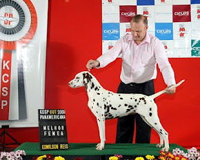 Vicky Von Feigldals | Dalmatian 