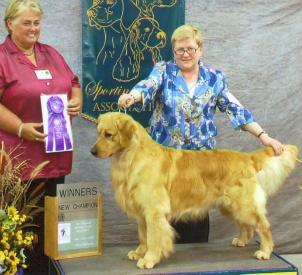 Pebwin Who's On First | Golden Retriever 