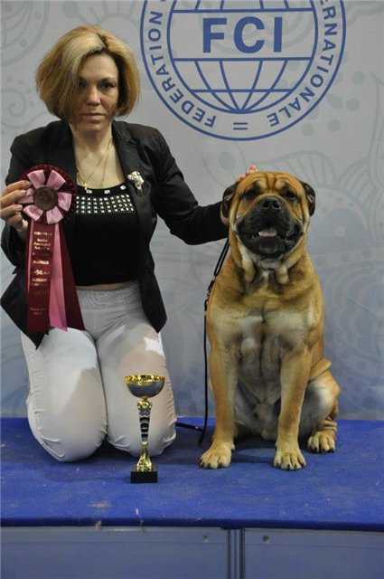 Fortuna Gold Best Show For Lunnay Sonata | Ca de Bou 