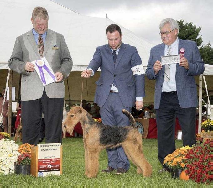 Joval Pot of Gold | Airedale Terrier 